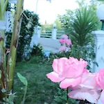 Allegro Ξενοδοχείο